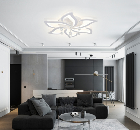 Потолочная люстра Olimp LED LAMPS 81238 фото 2